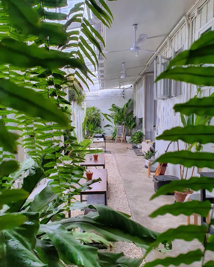 The Park Society Hostel Chiang Mai Bagian luar foto